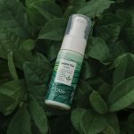 OTTIE Green Tea Cream, 200 ml